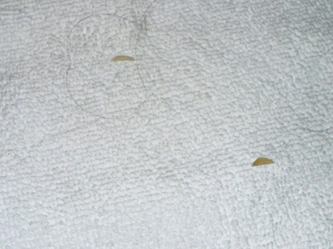 SAS Residence & Hotel, Dhahran主图