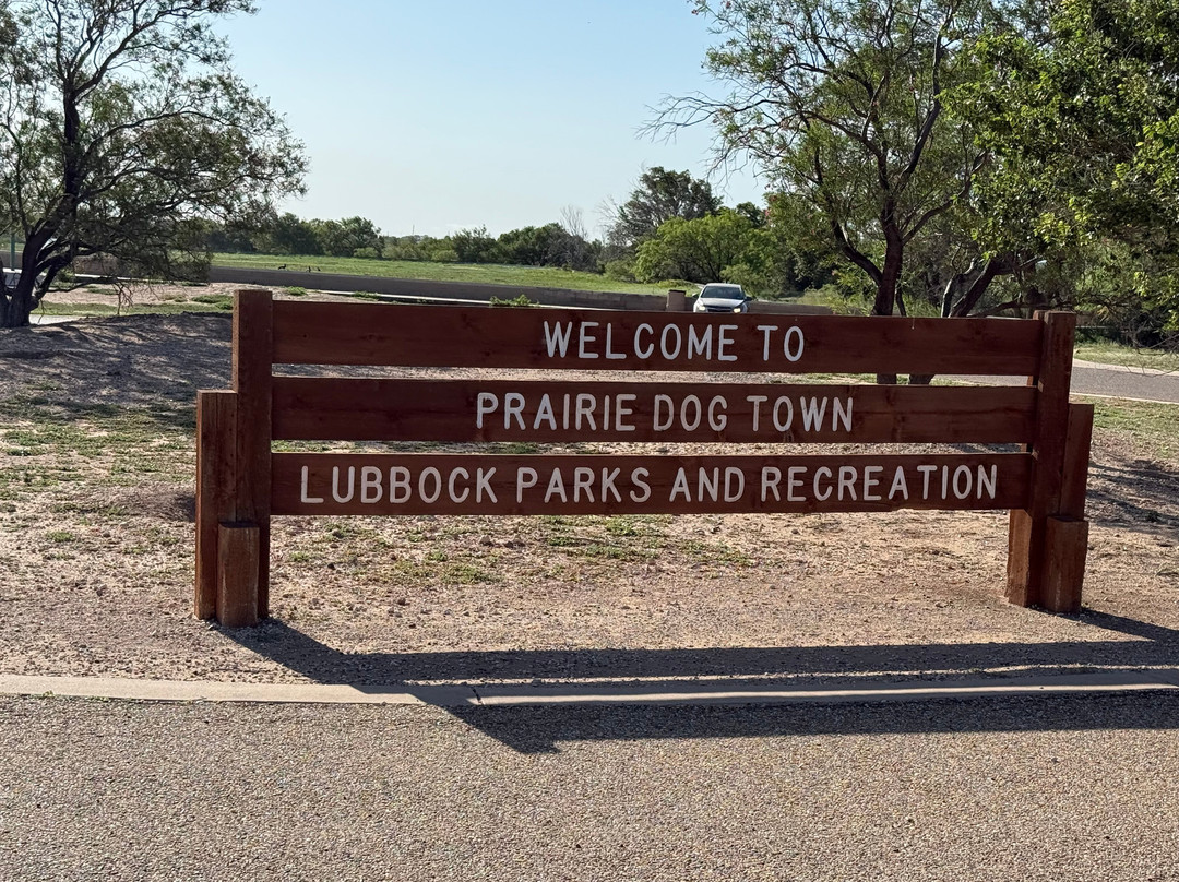 Prairie Dog Town-拉伯克县必去景点
