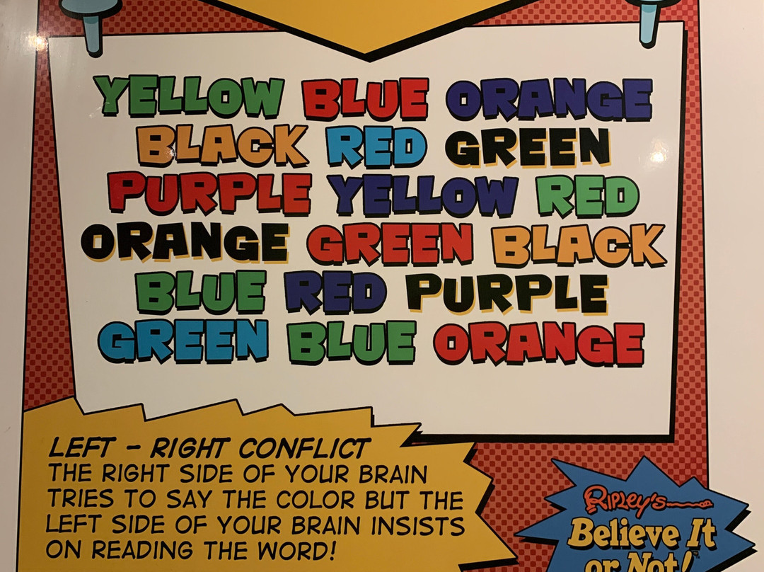 Ripley's Believe it or Not! Ocean City-大洋城必去景点