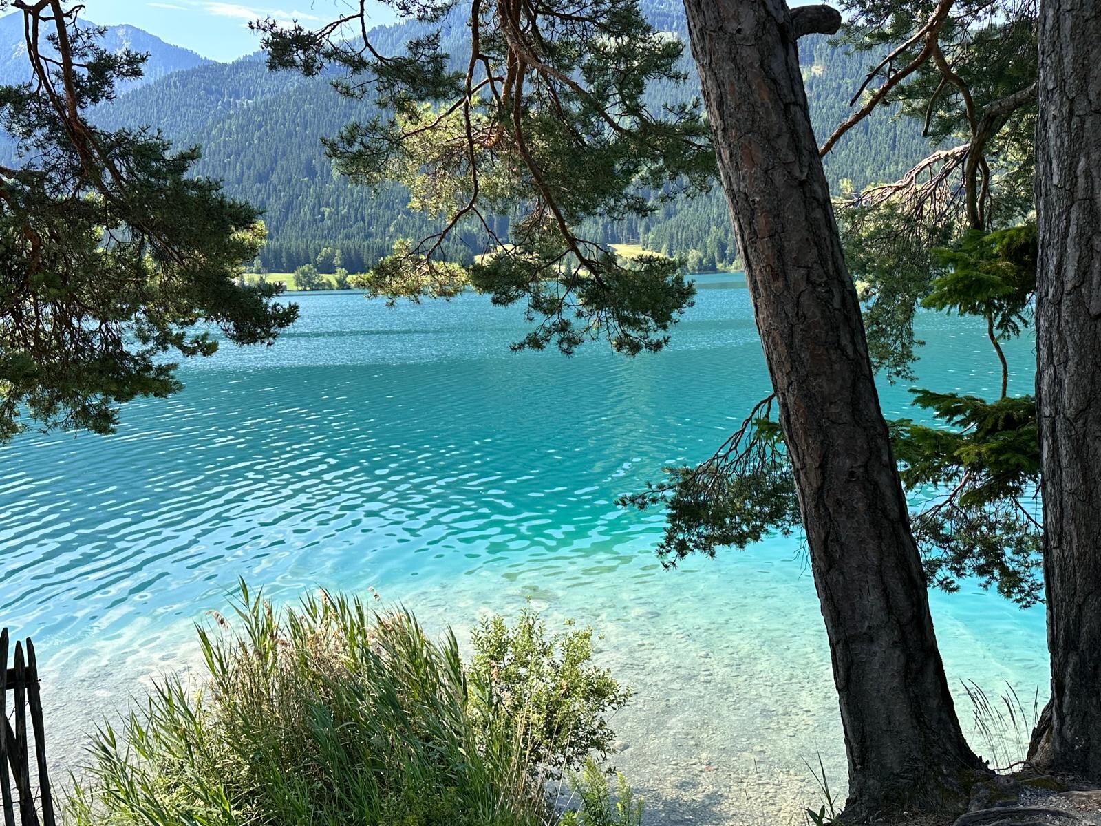 Ferienhof Obergasser & Pension Bergblick-官方