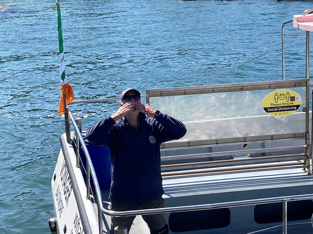 Whale Watch West Cork-Baltimore必去景点
