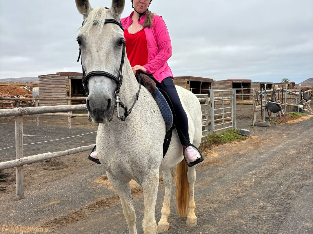 Horses Lanzarote-Teseguite必去景点