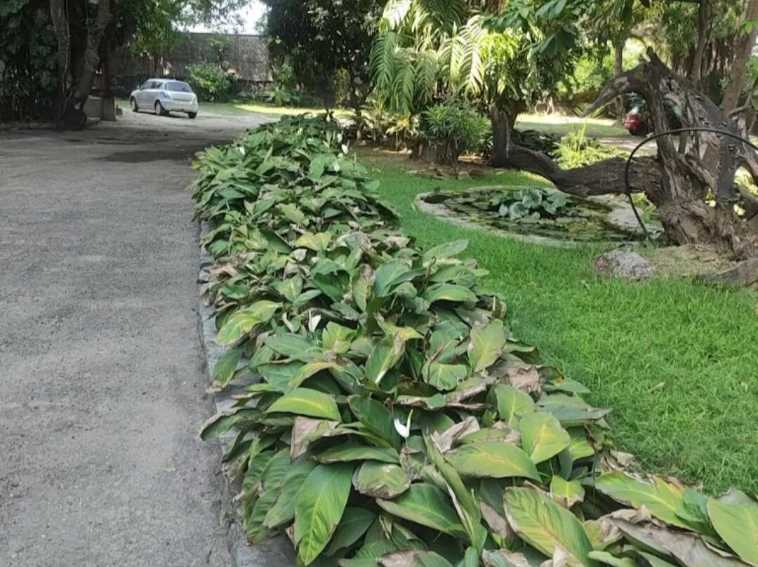 Siddhartha Hotel Narayanghat主图