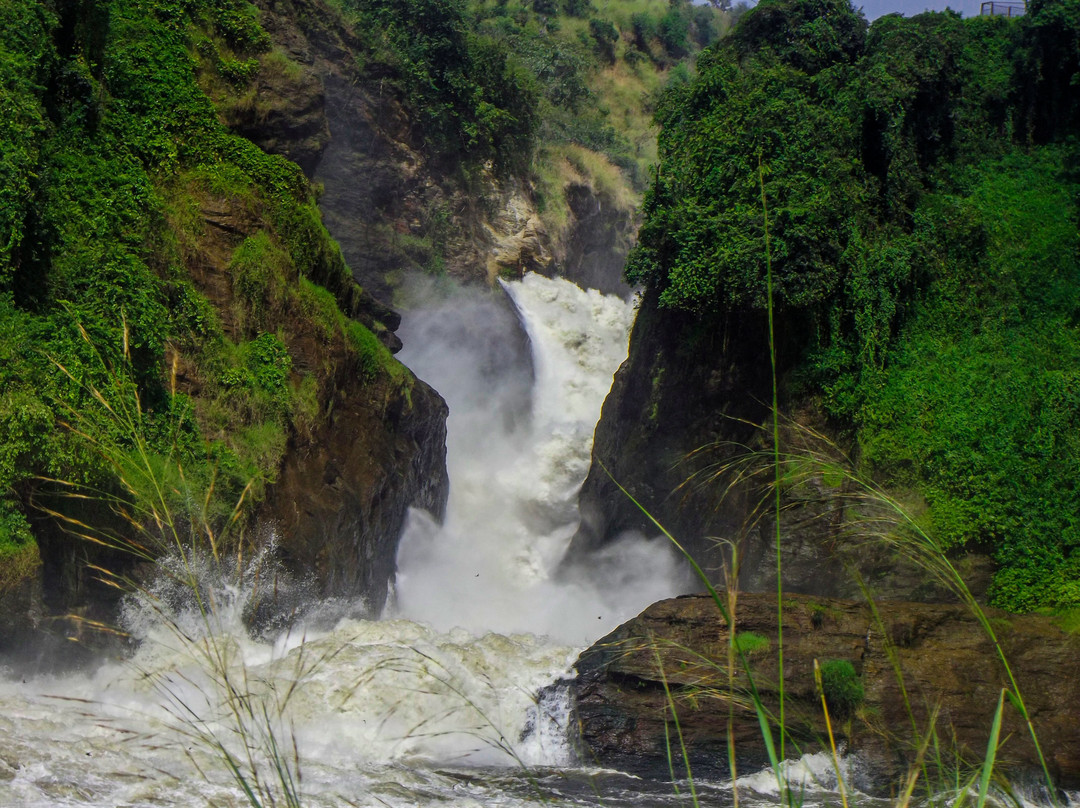 Northern Nature Safaris-Gulu必去景点