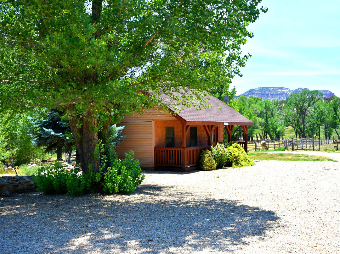 Arrowhead Country Cabins主图