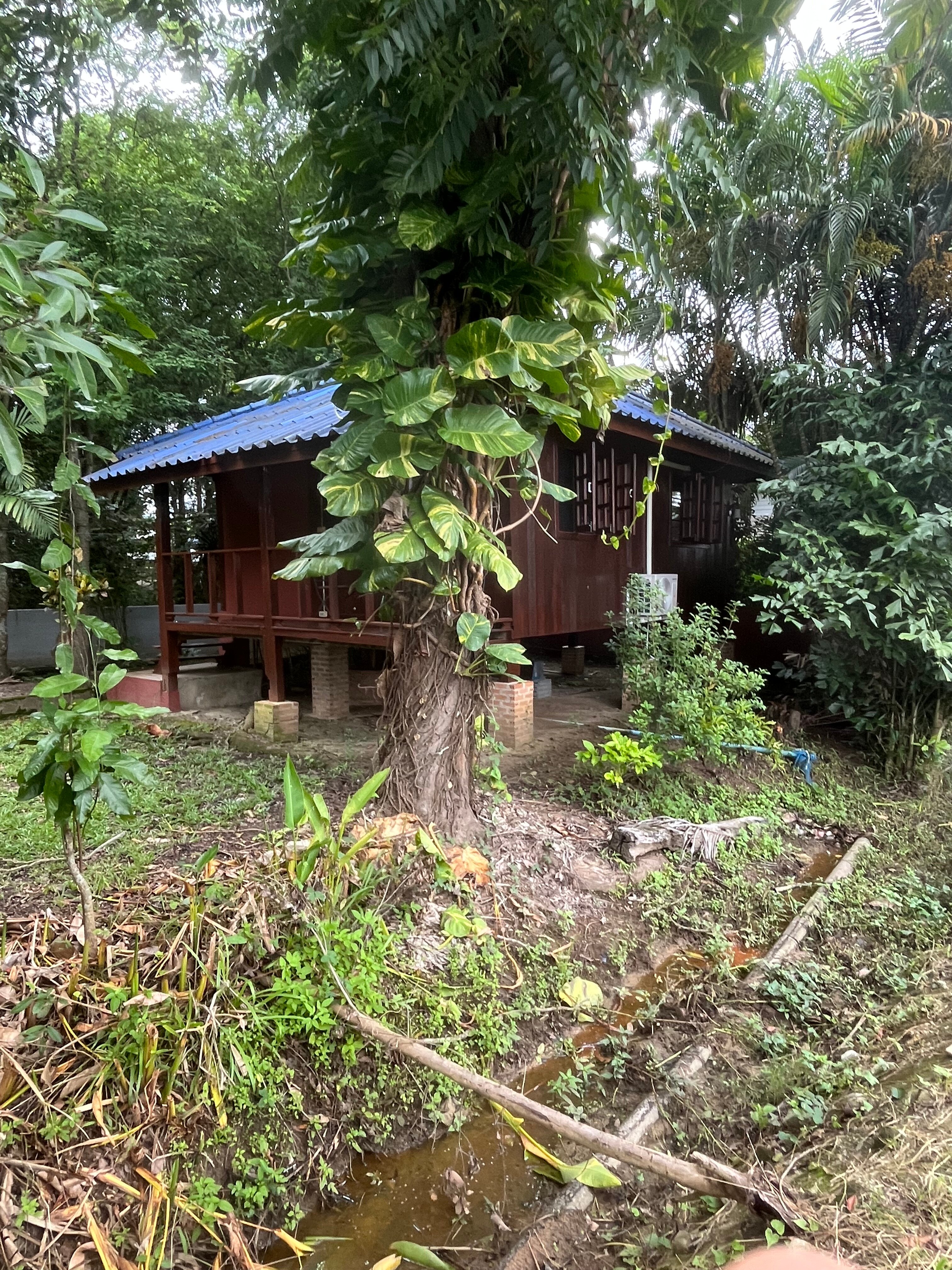 The Wes Village-客卧