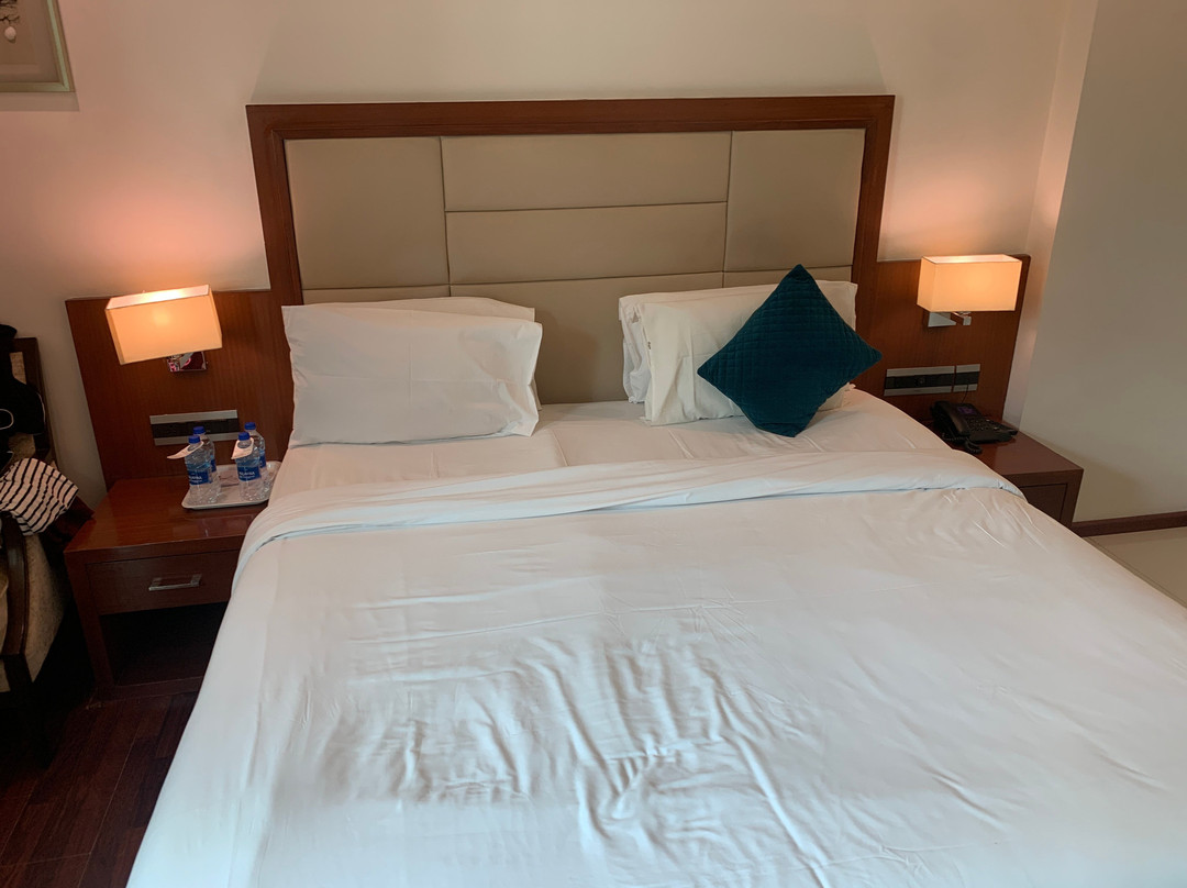 The Ocean Pearl Udupi主图