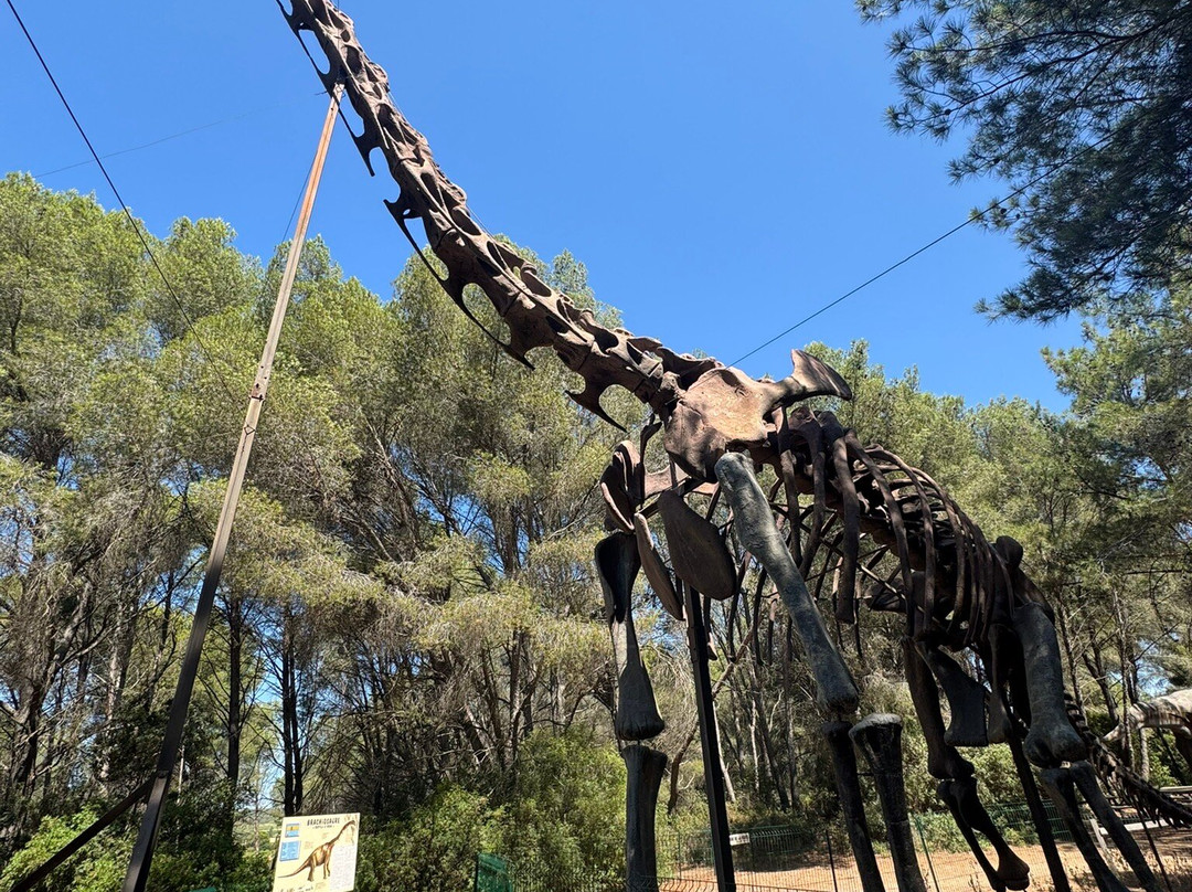 Musee - Parc des Dinosaures-Meze必去景点
