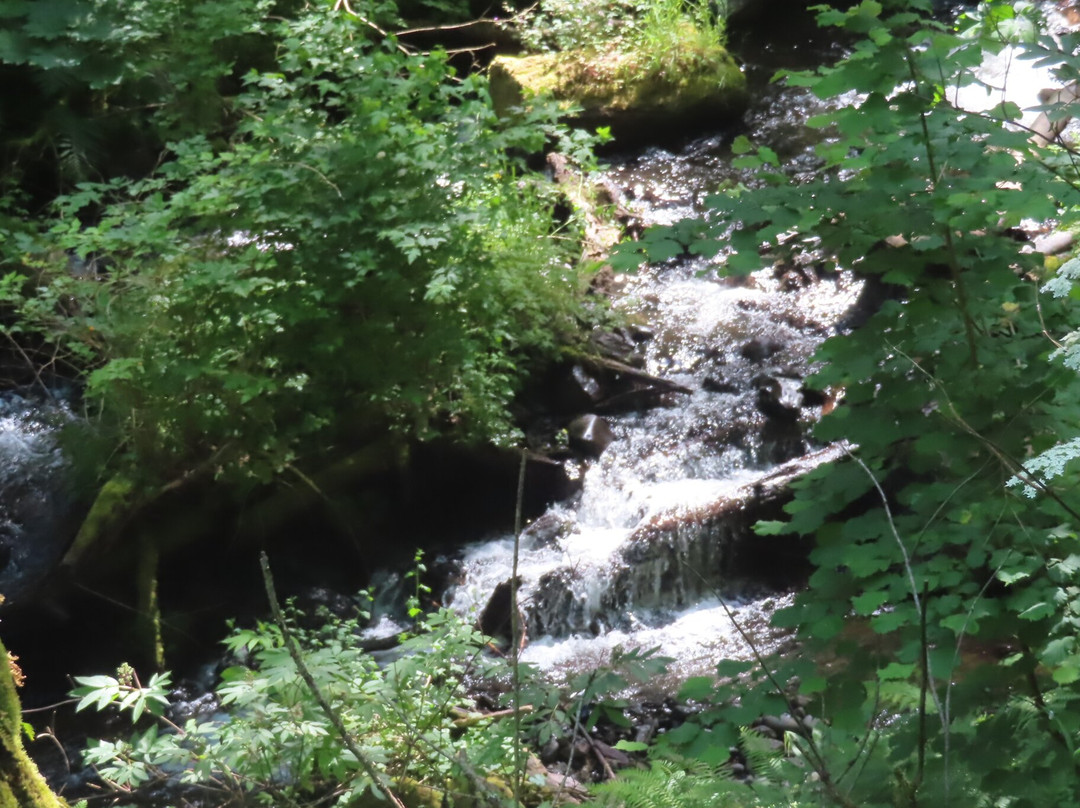 Latourell Falls-Corbett必去景点