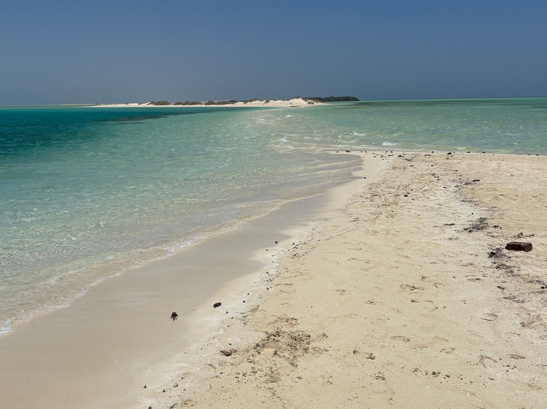 Wonderful Dive-马萨阿拉姆必去景点