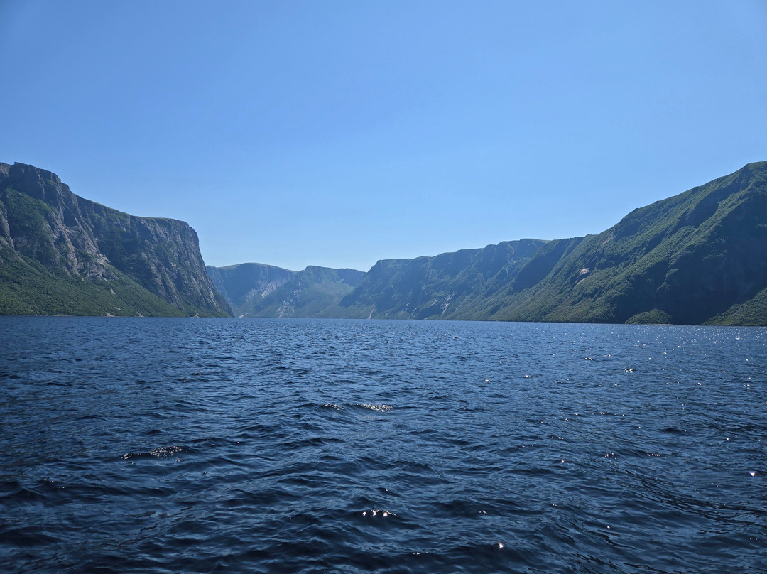 BonTours Boat Tours-Rocky Harbour必去景点