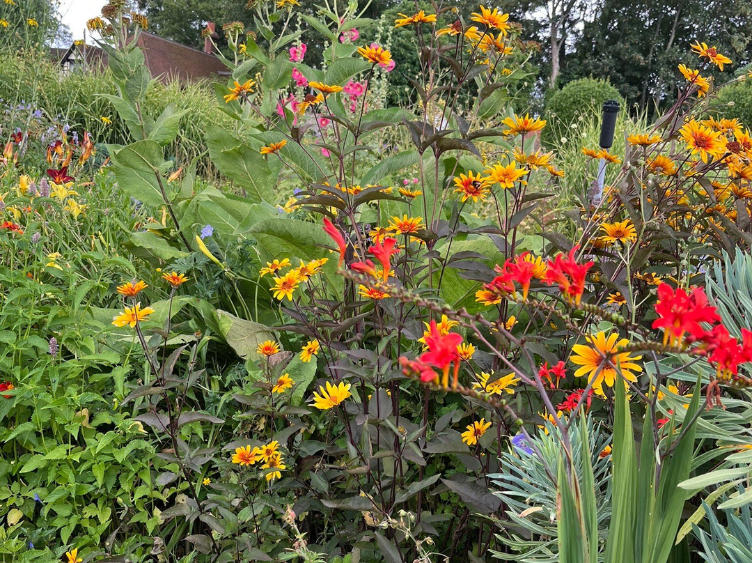 Loseley Park-吉尔福德必去景点