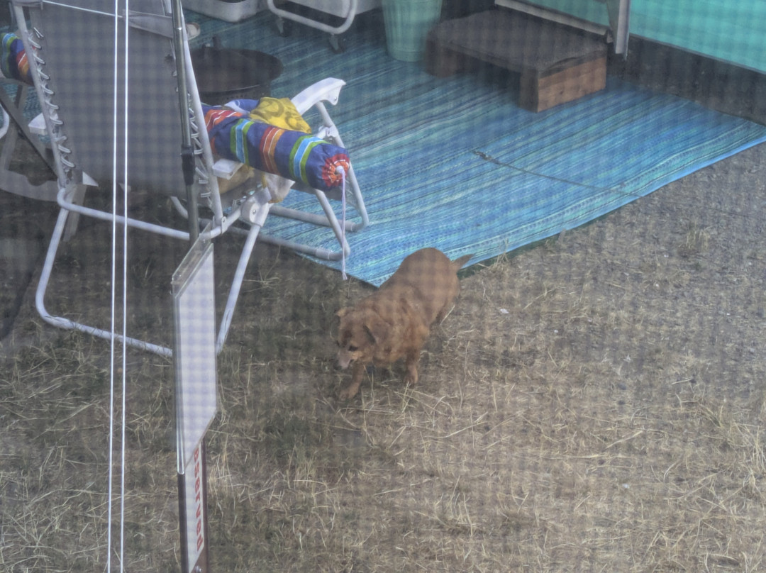 Fay Bainbridge Park-班布里奇岛必去景点