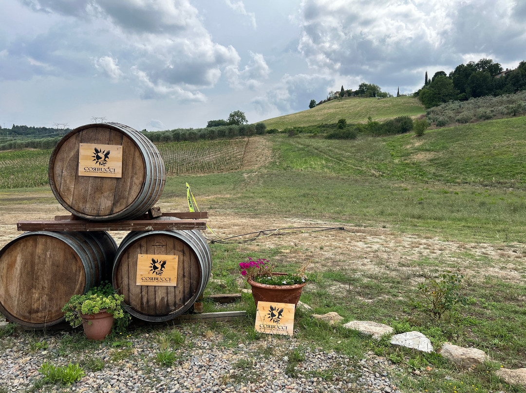 Corbucci Wine Tasting-圣吉米尼亚诺必去景点