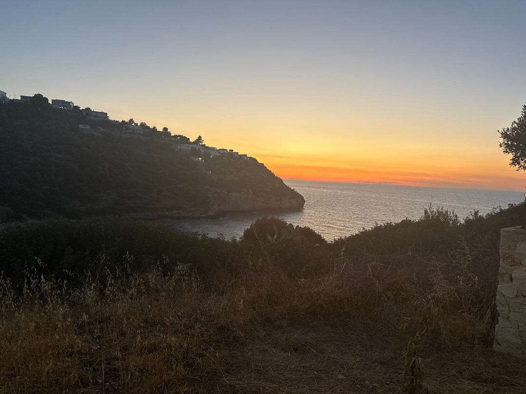 Spiaggia Di Procinisco - Peschici