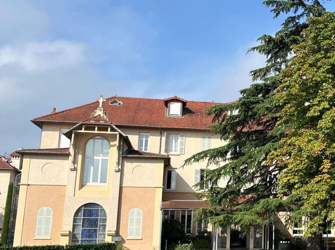 Domaine Lyon Saint Joseph主图