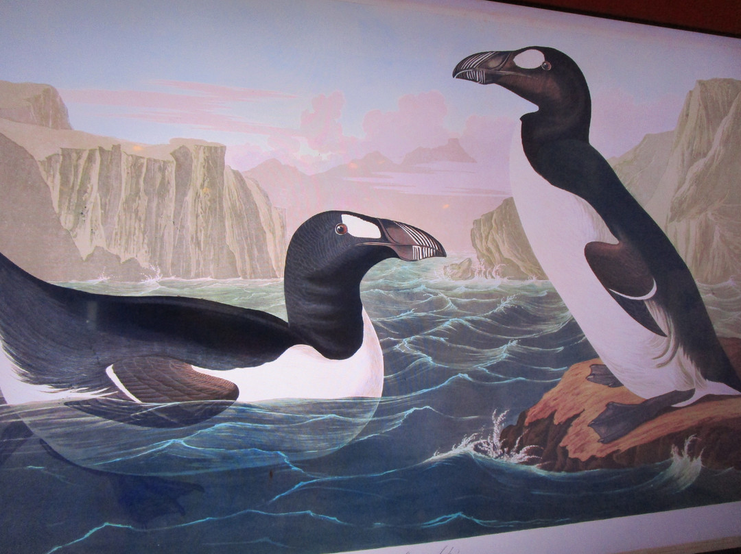 National Sporting Library & Museum-Middleburg必去景点