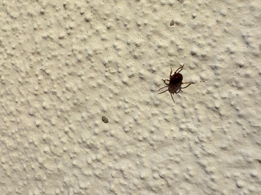 Ferienweingut Haus Karina主图