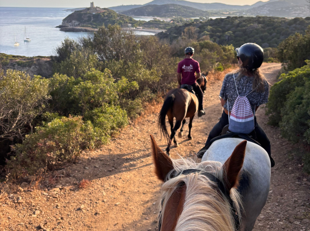 Maneggio Quattro Mori-Domus de Maria必去景点