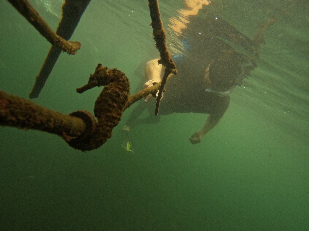 Galapagos Path-阿约拉港必去景点