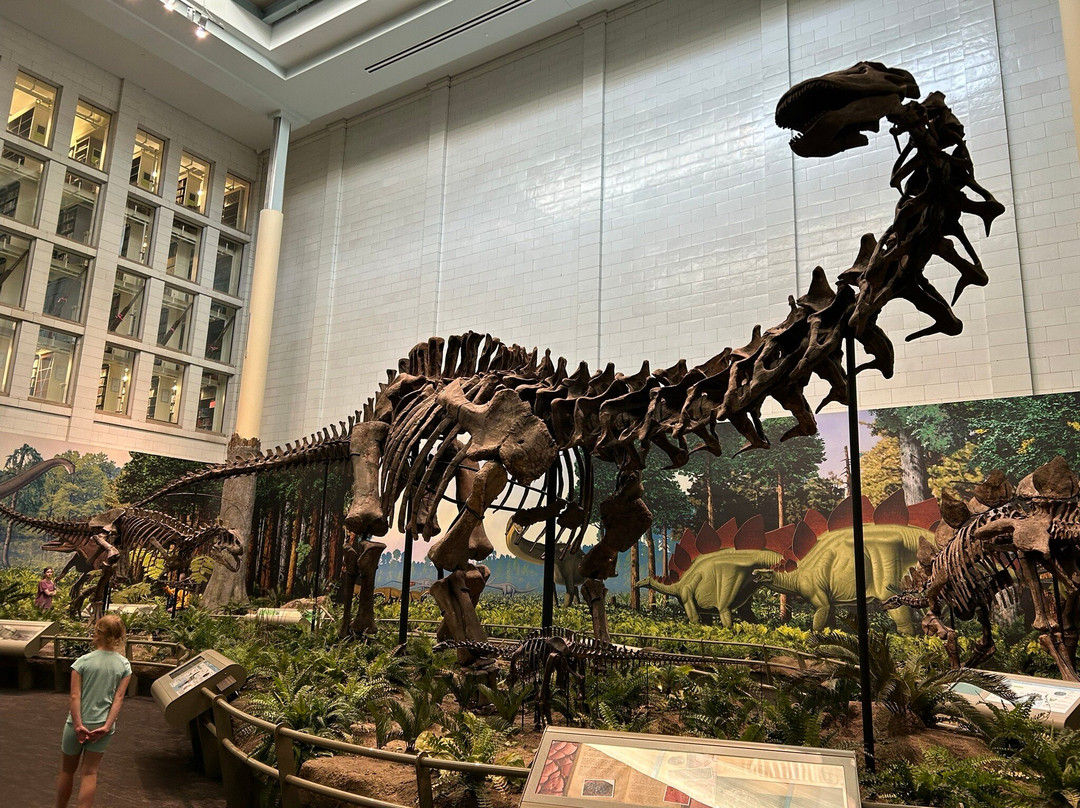 卡内基自然历史博物馆-匹兹堡必去景点