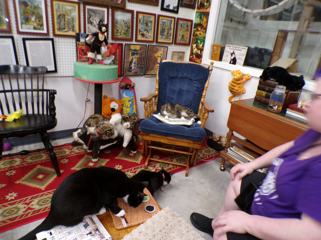 The American Museum of the House Cat-Sylva必去景点