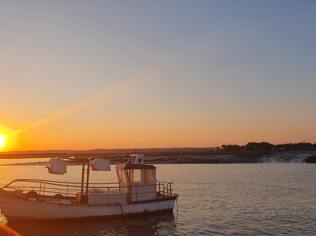 Excusiones Marítimas Islenas Isla Cristina-Isla Cristina必去景点