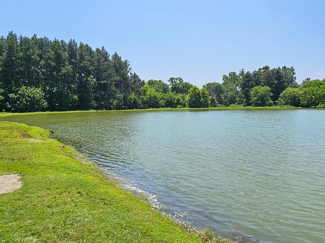 Cow Pond-埃尔克顿必去景点