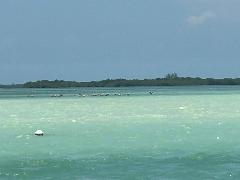 Top Travel Connection-坎昆必去景点