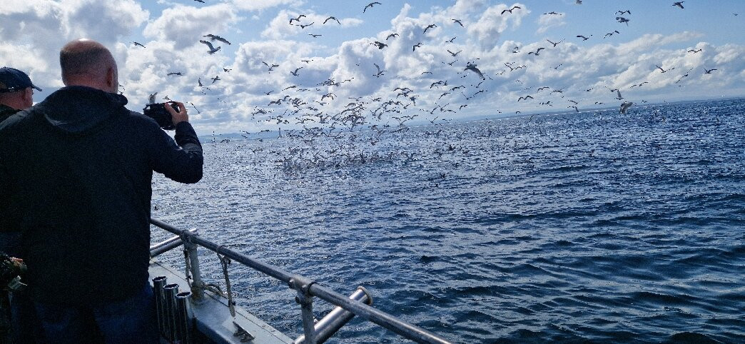 Moray Firth Fishing Charters-Burghead必去景点