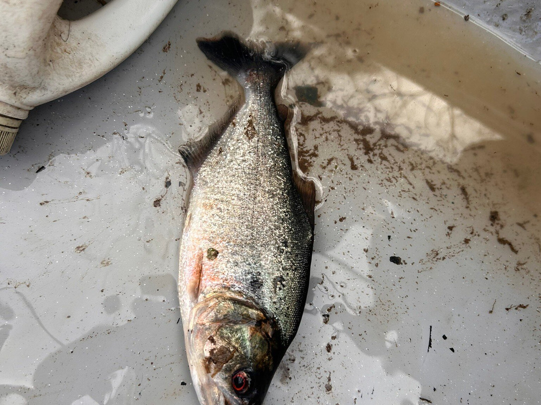 Laguna Jatuncocha-Coca必去景点