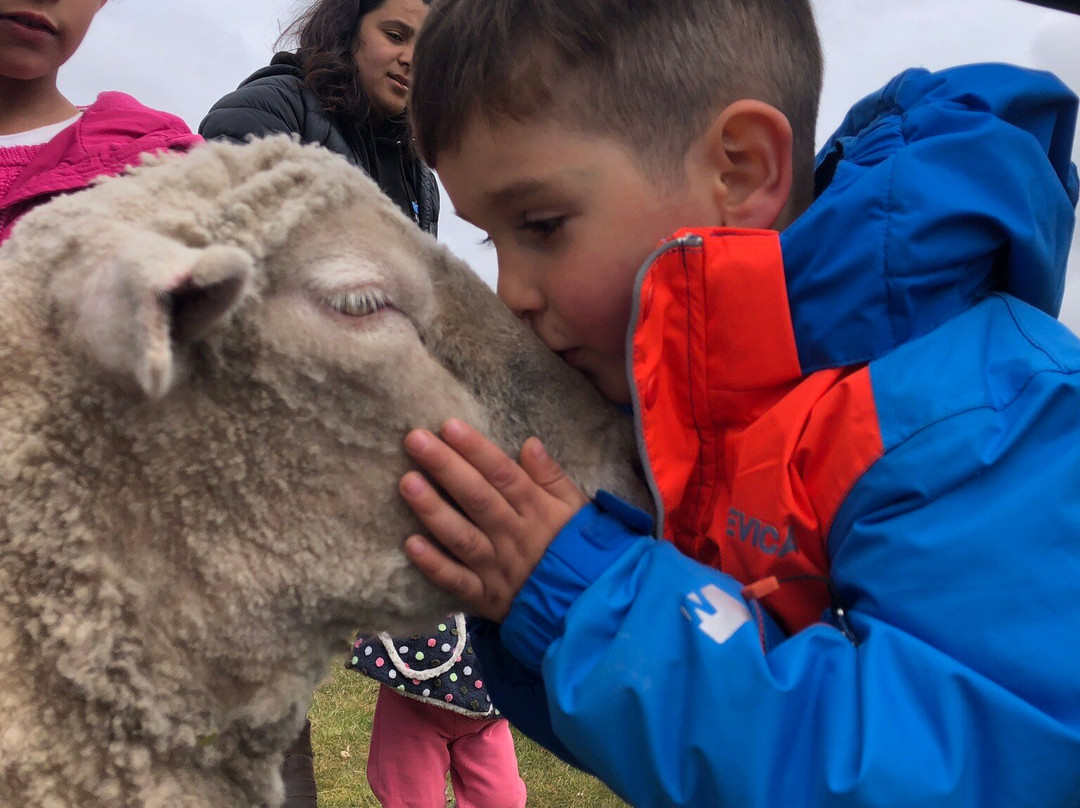 Fitzroy Farm-Darwin必去景点