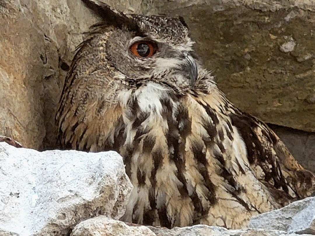 Eco Museo-Centro de Visitantes-艾因萨必去景点