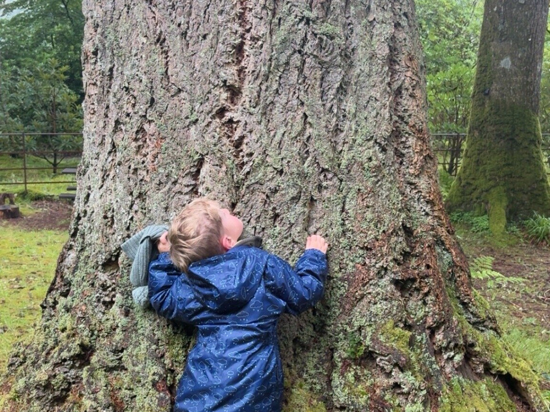 Ardkinglas Woodland Garden-Cairndow必去景点