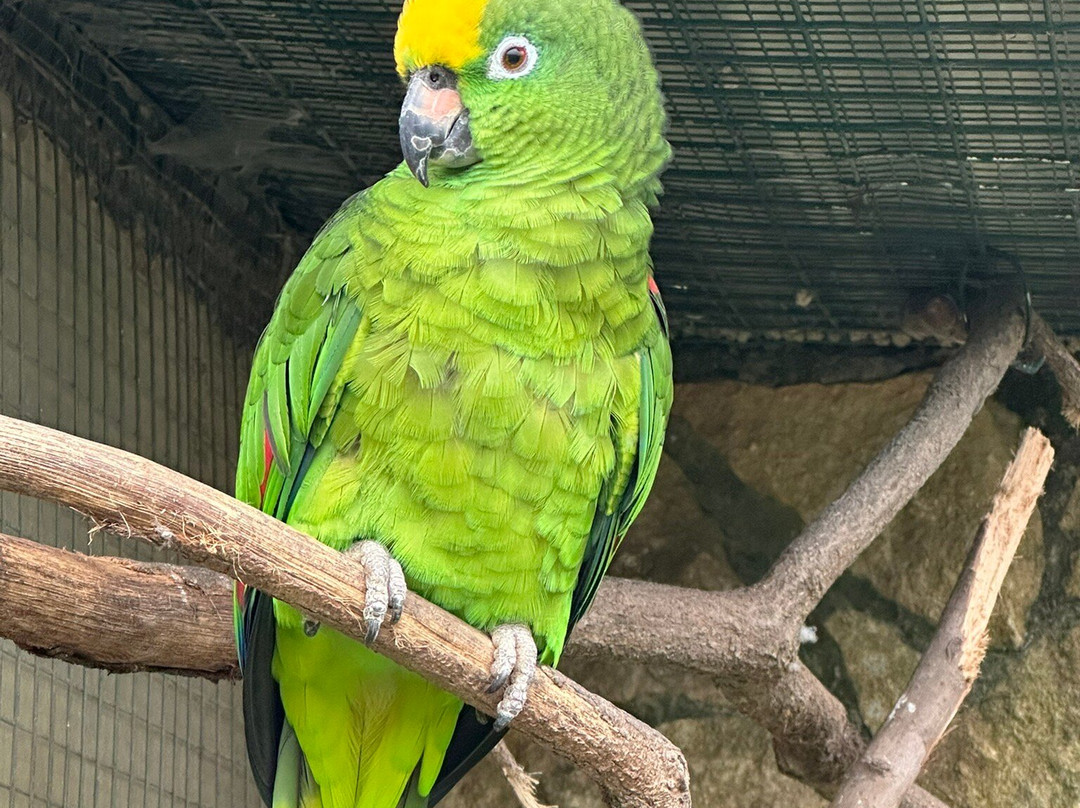 Zoologico El Bosque-奥维耶多必去景点