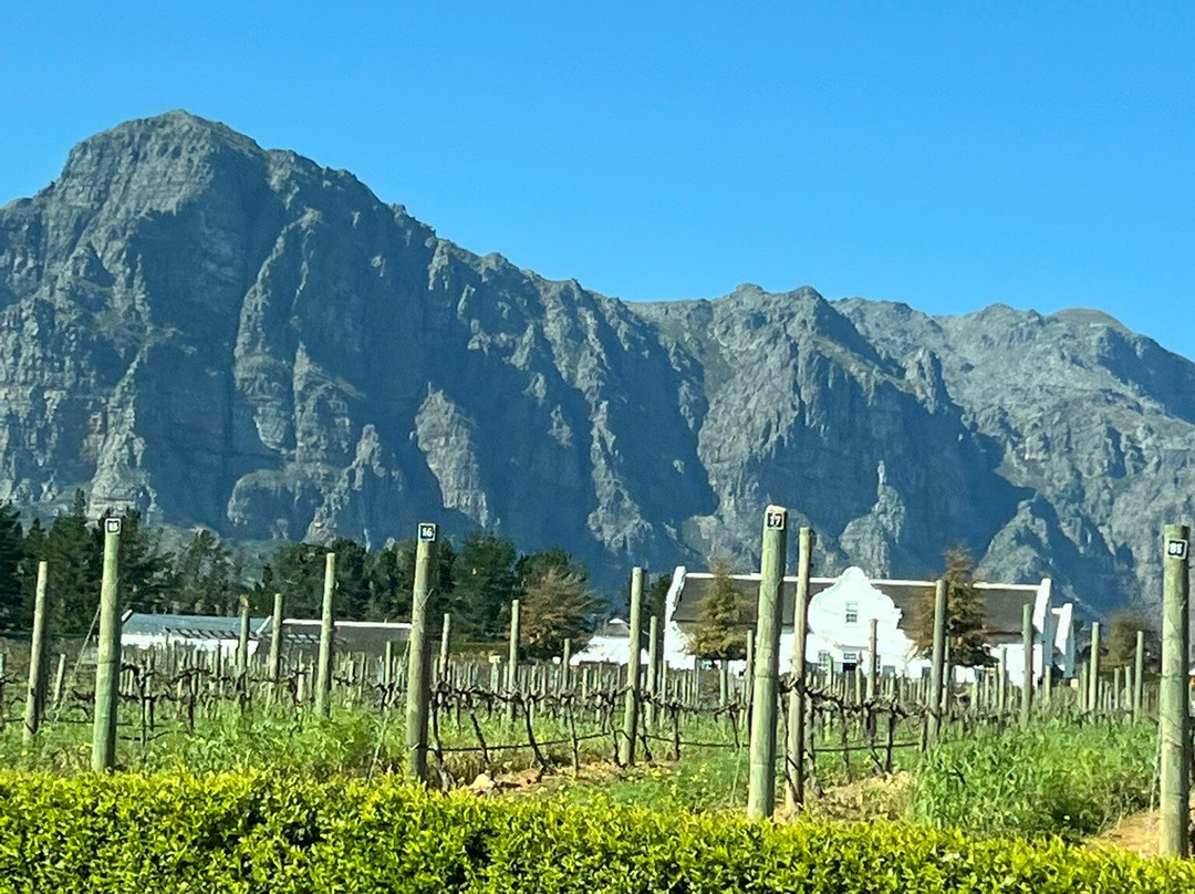 Take 2 Tours - Private Day Tours-开普敦中心区必去景点