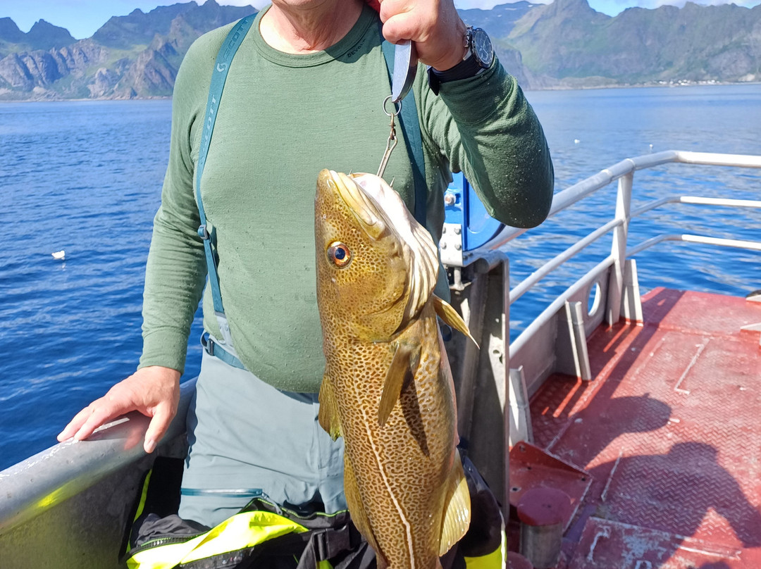 REEL Fishing And RIB Safaries-雷讷必去景点