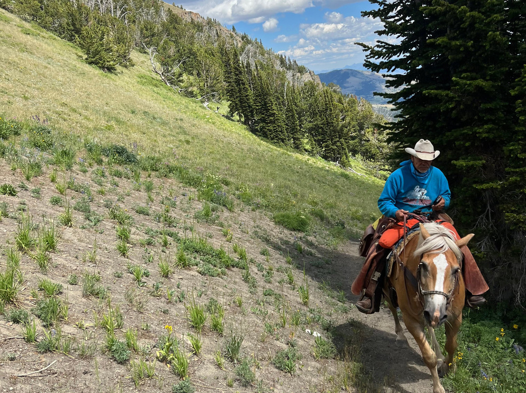 Yellowstone Horse And Mule-雷德洛治必去景点