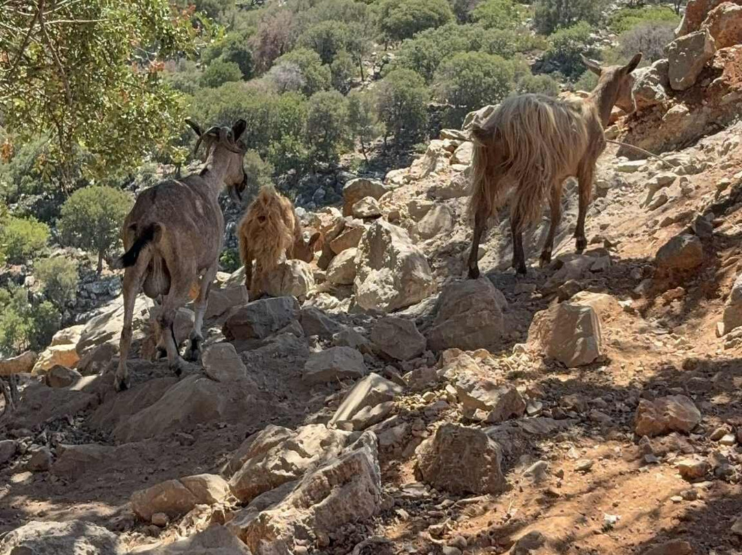 Matheo Hotel Villas & Suites主图