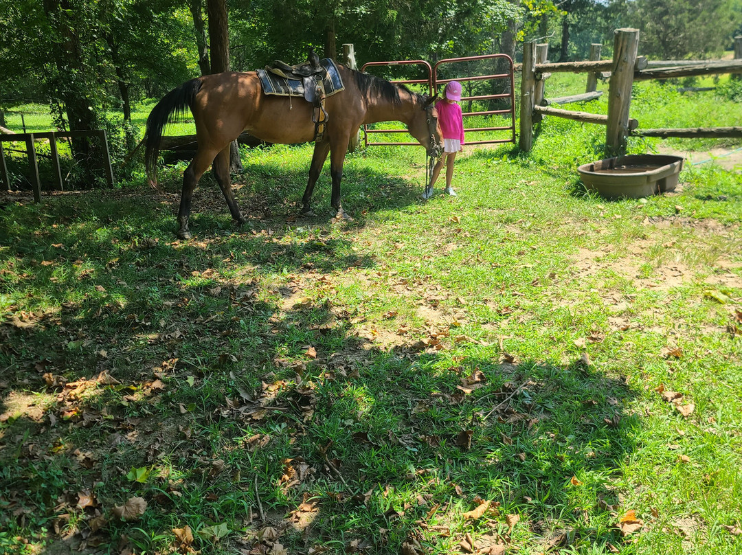 Lake Glendale Stables-Golconda必去景点