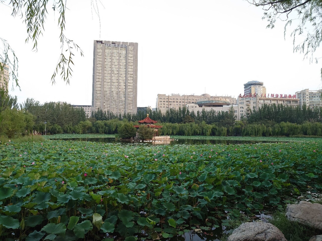 青城公园-呼和浩特市必去景点