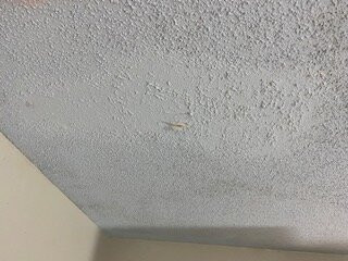 Quality Inn Fort Campbell主图