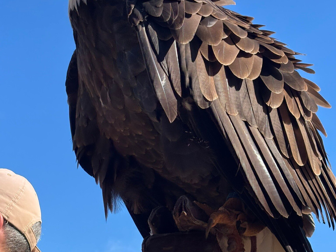 Château de Rochebaron-Bas-en-Basset必去景点