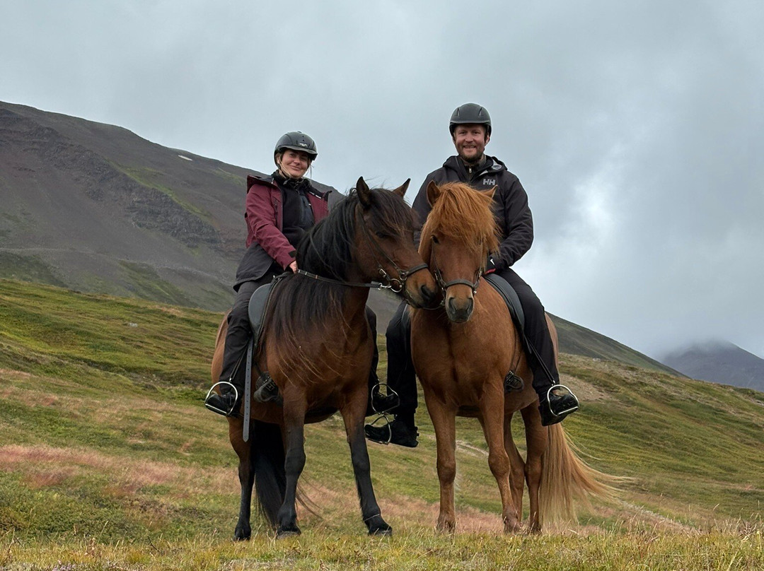 Tvistur Horse Rental-Dalvik必去景点
