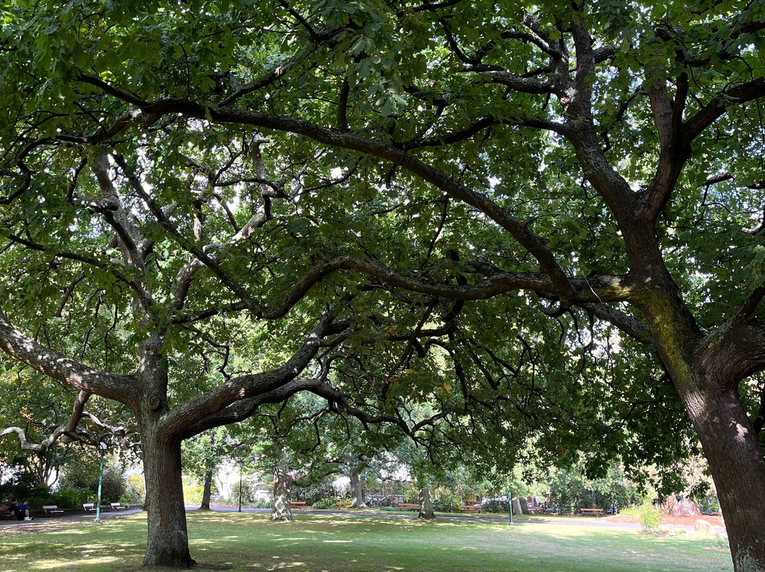 Prince's Square-朗塞斯顿必去景点