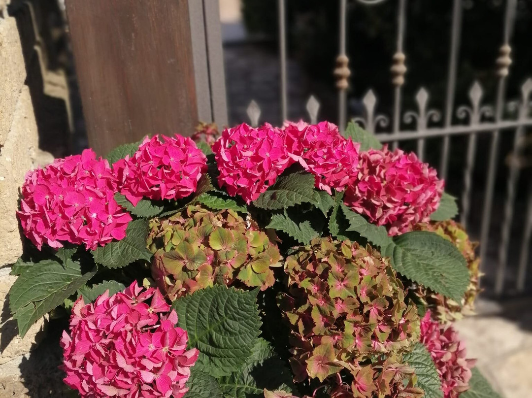 B&B Villa Milena主图