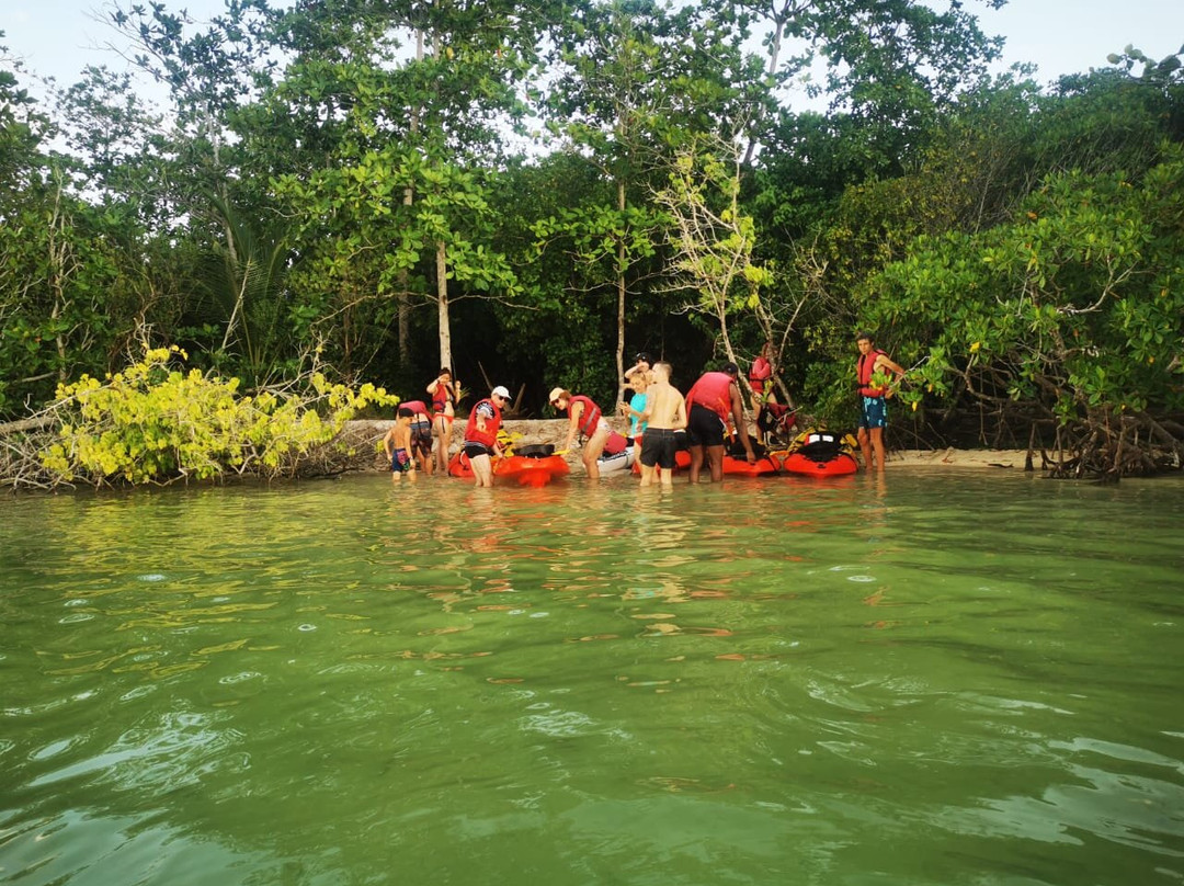 Yalodé Kayak Canyon Bain De Forêt-瓜德罗普岛必去景点