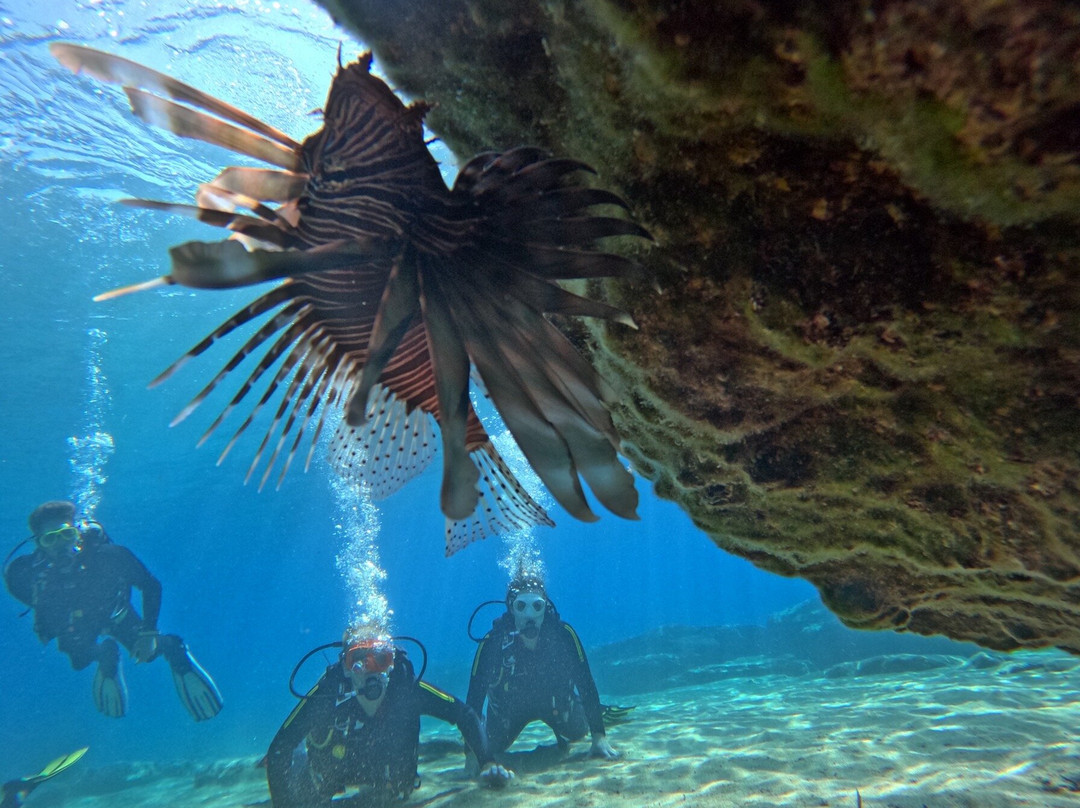 Arian Diving Centre-卡达米那必去景点