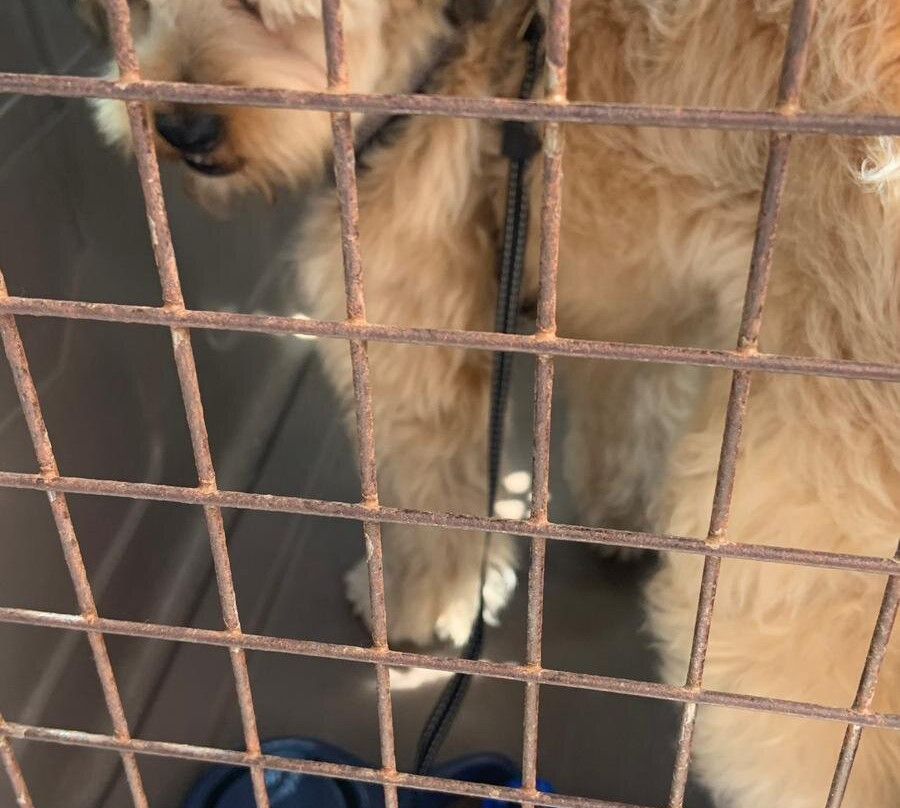 Nazaré Funicular-纳扎雷必去景点