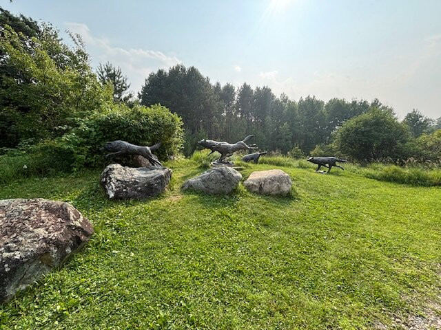 International Wolf Center-伊利必去景点